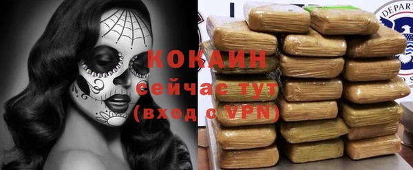 крисы Армянск