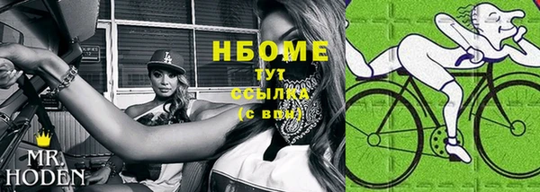 дурь Алексин
