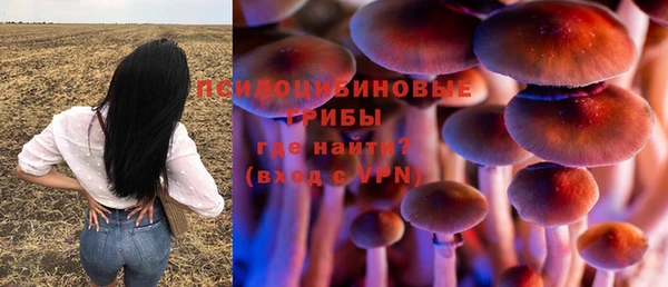 ГАЛЛЮЦИНОГЕННЫЕ ГРИБЫ Алексеевка