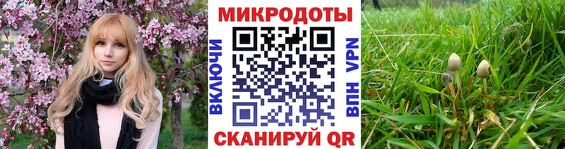 купить наркотик Междуреченск omg онион Галлюциногенные грибы GOLDEN TEACHER
